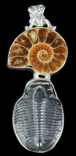 Ammonite + Trilobite Pendant - Sterling Silver #38083